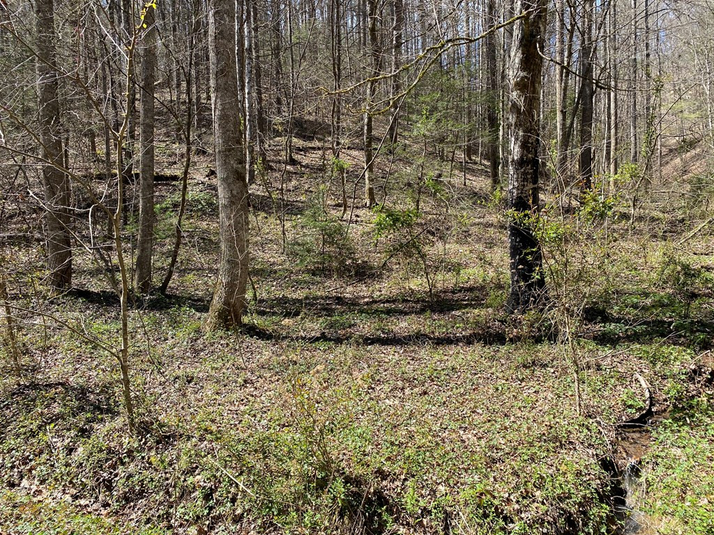 0 Valley Springs Way Sevierville TN 37862