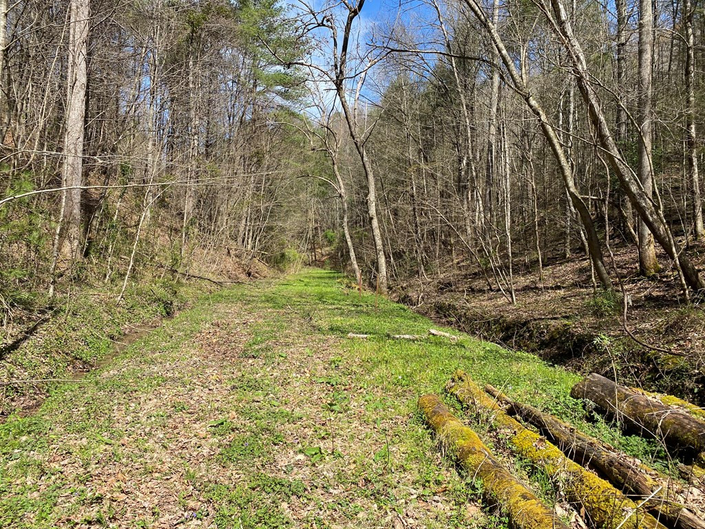 0 Valley Springs Way Sevierville TN 37862