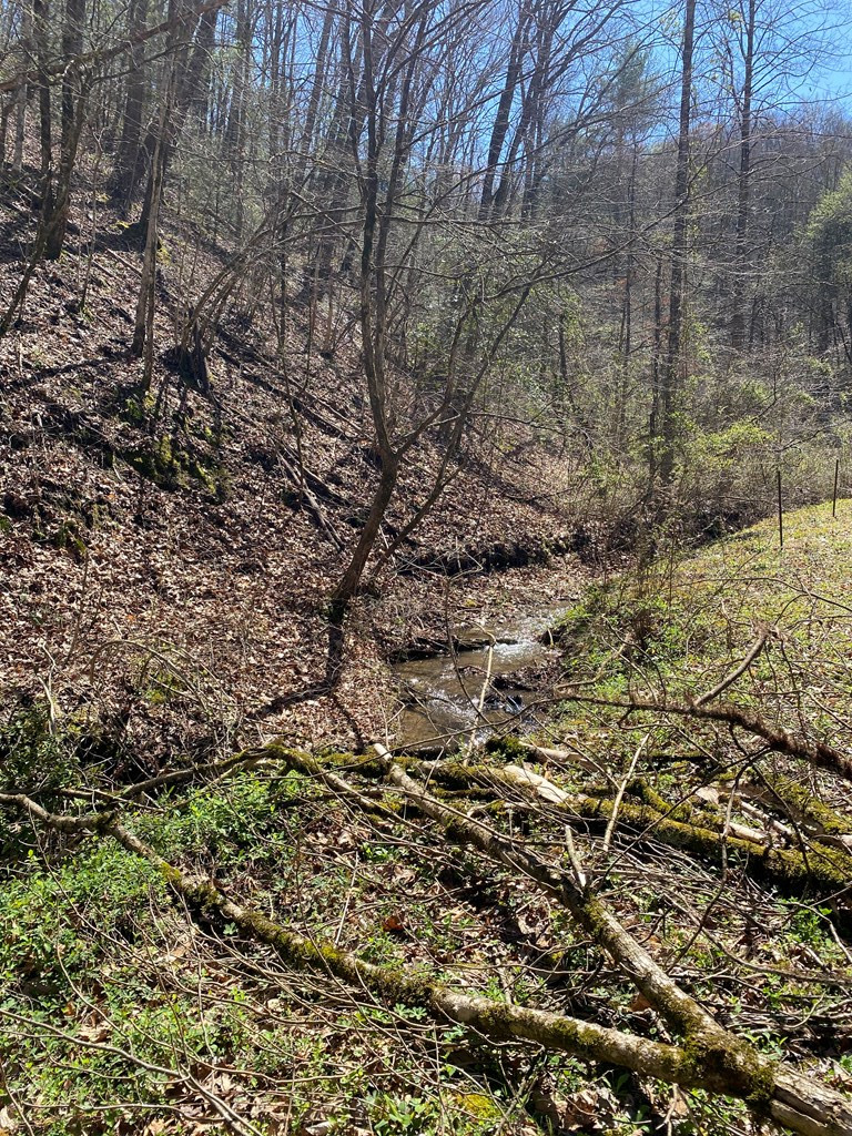 0 Valley Springs Way Sevierville TN 37862