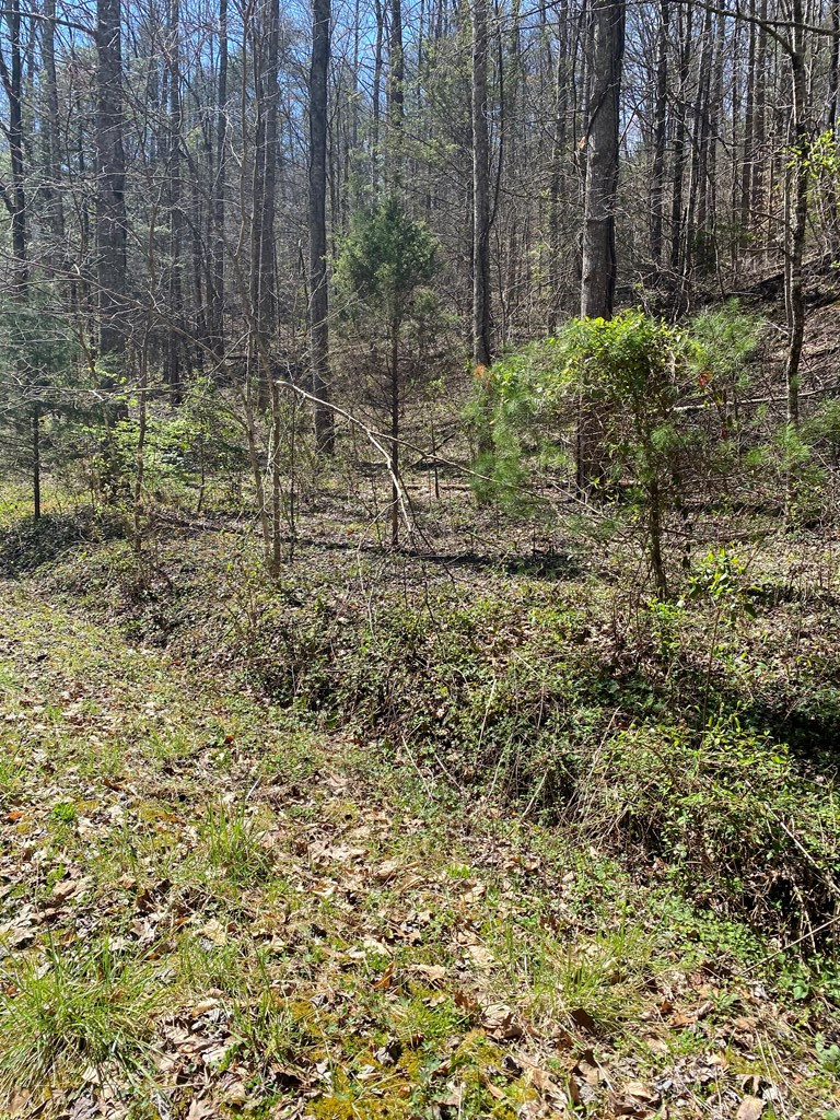 0 Valley Springs Way Sevierville TN 37862