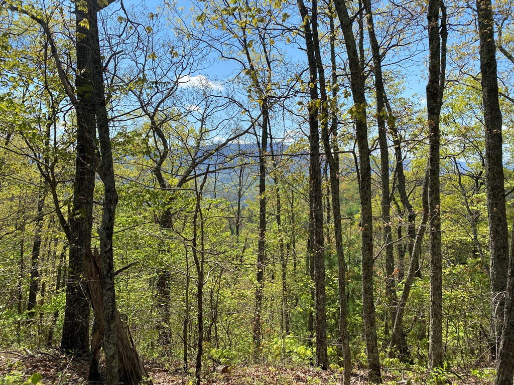 0 Valley Springs Way Sevierville TN 37862