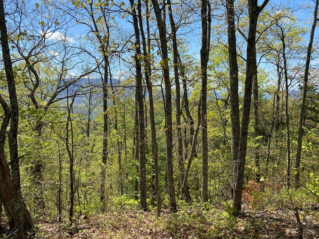 0 Valley Springs Way Sevierville TN 37862
