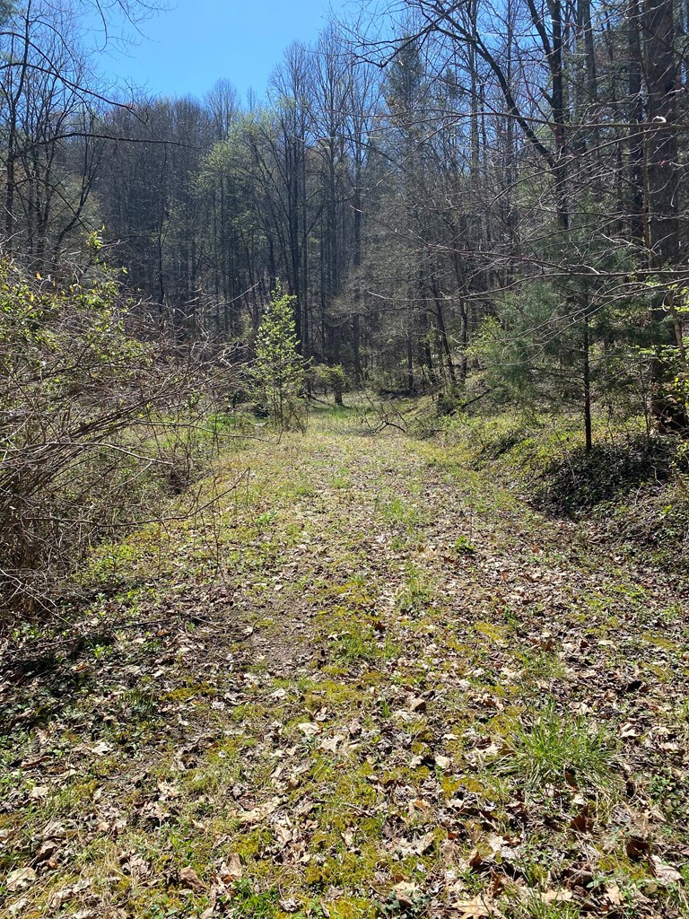 0 Valley Springs Way Sevierville TN 37862