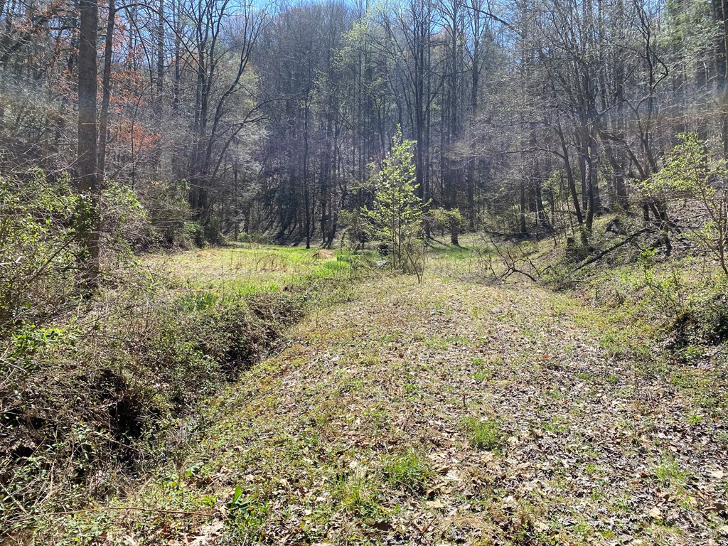 0 Valley Springs Way Sevierville TN 37862