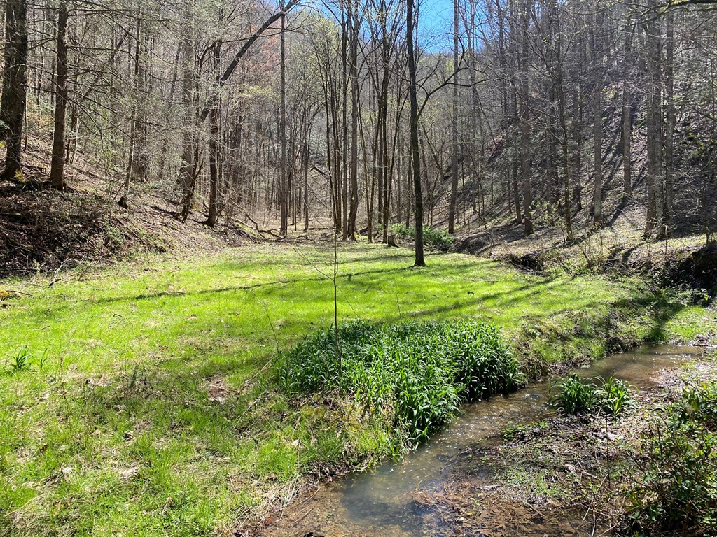 0 Valley Springs Way Sevierville TN 37862