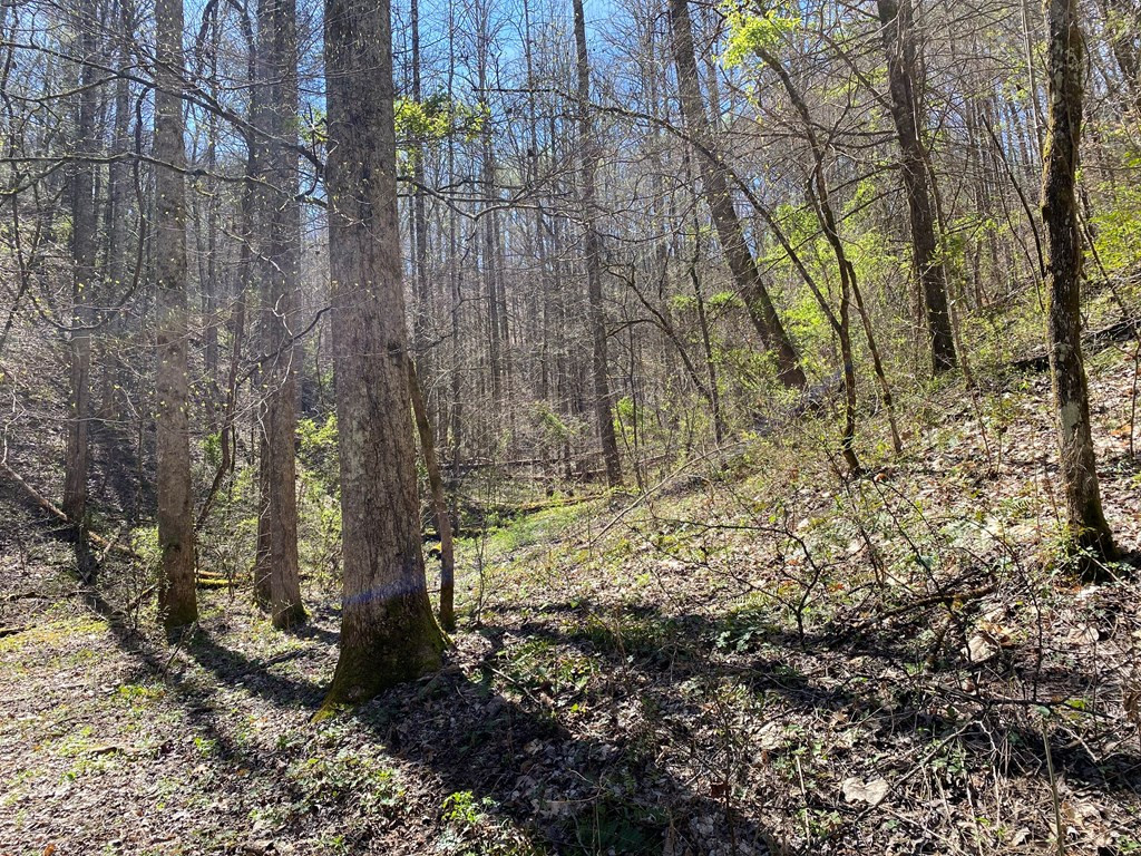 0 Valley Springs Way Sevierville TN 37862