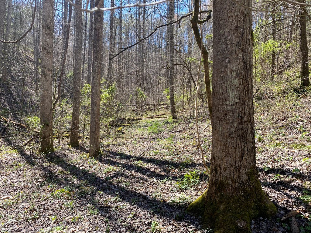 0 Valley Springs Way Sevierville TN 37862