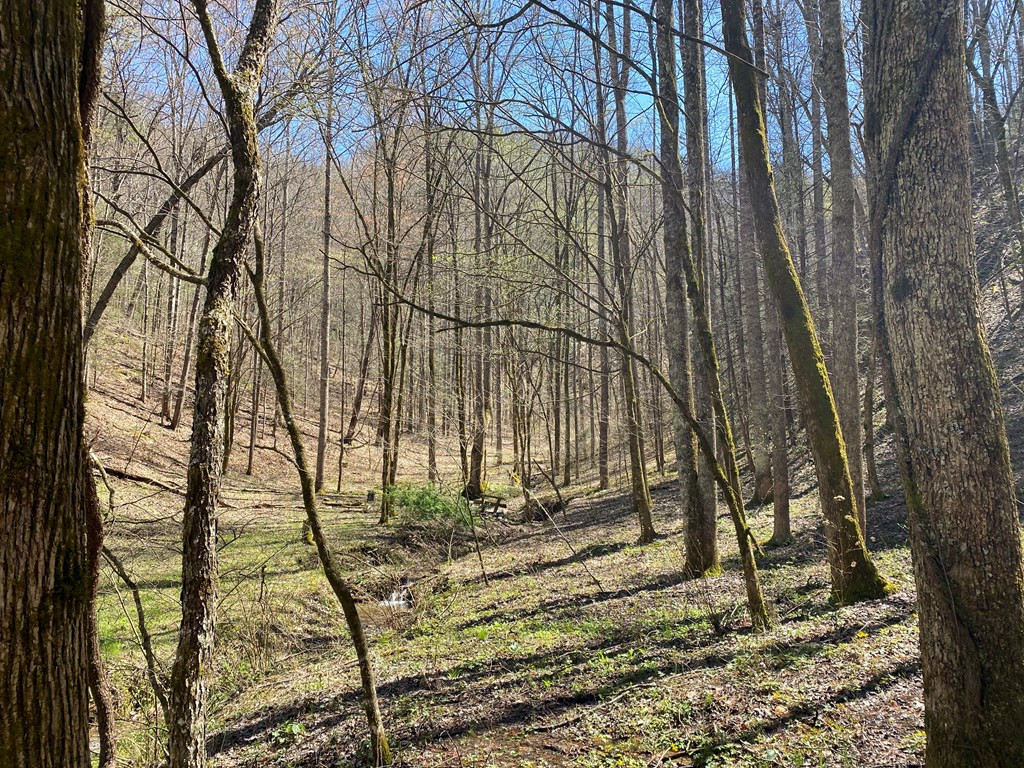 0 Valley Springs Way Sevierville TN 37862