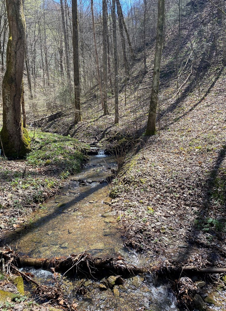 0 Valley Springs Way Sevierville TN 37862