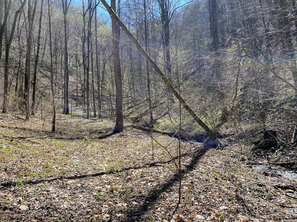 0 Valley Springs Way Sevierville TN 37862