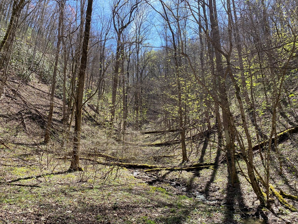 0 Valley Springs Way Sevierville TN 37862