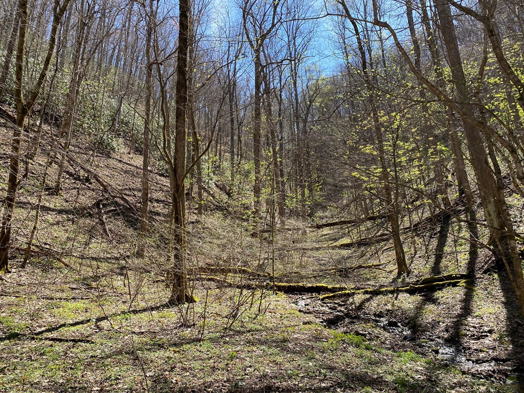 0 Valley Springs Way Sevierville TN 37862