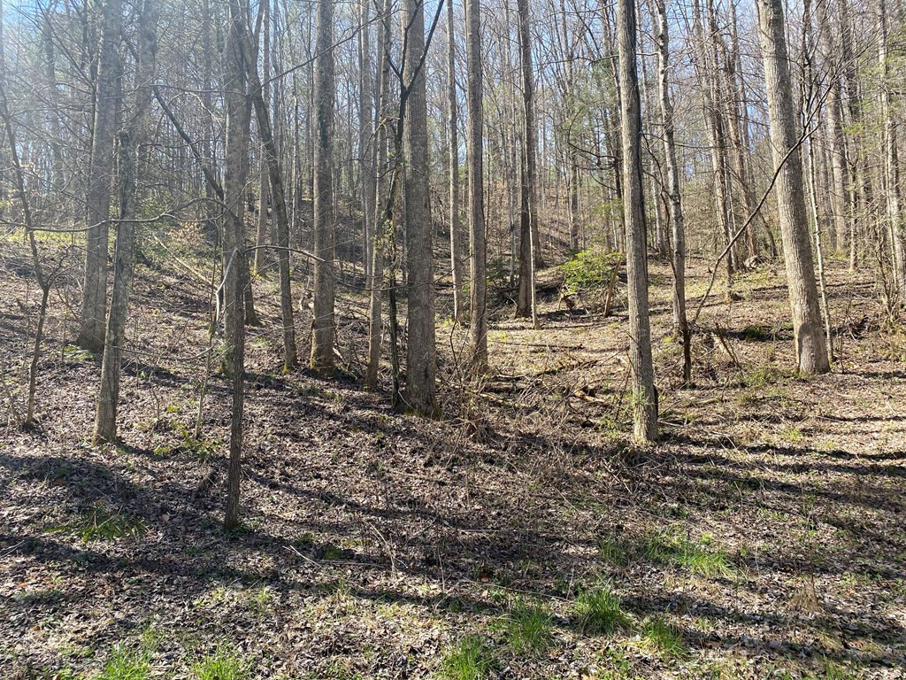 0 Valley Springs Way Sevierville TN 37862