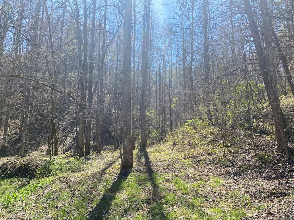 0 Valley Springs Way Sevierville TN 37862