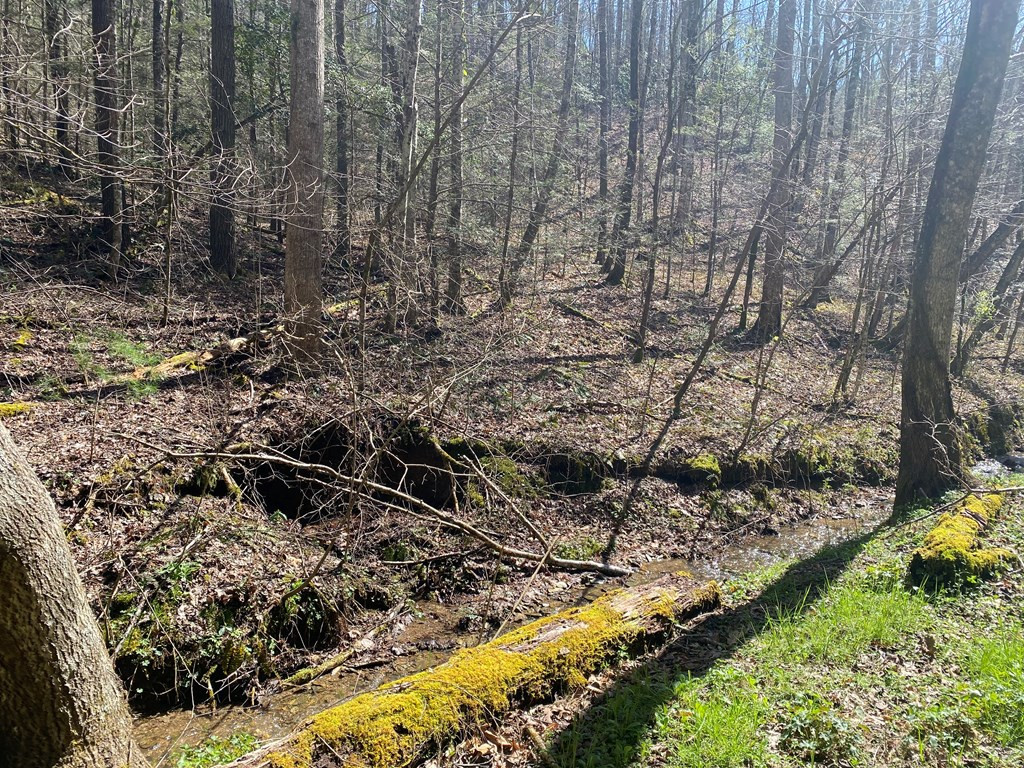0 Valley Springs Way Sevierville TN 37862