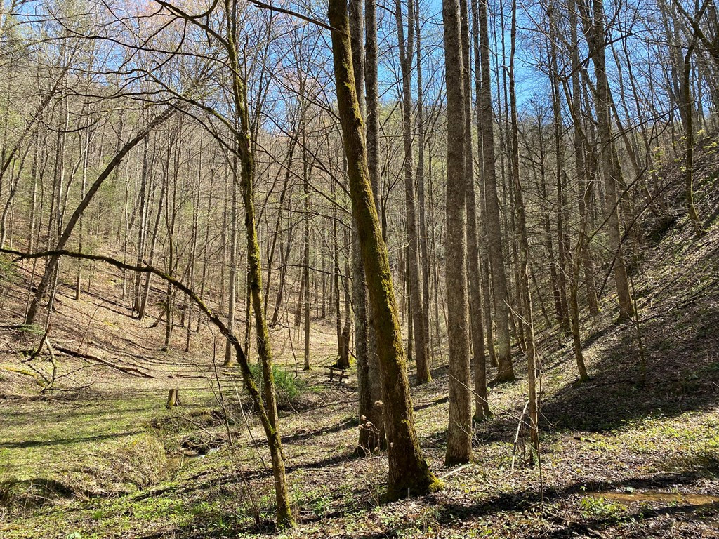 0 Valley Springs Way Sevierville TN 37862
