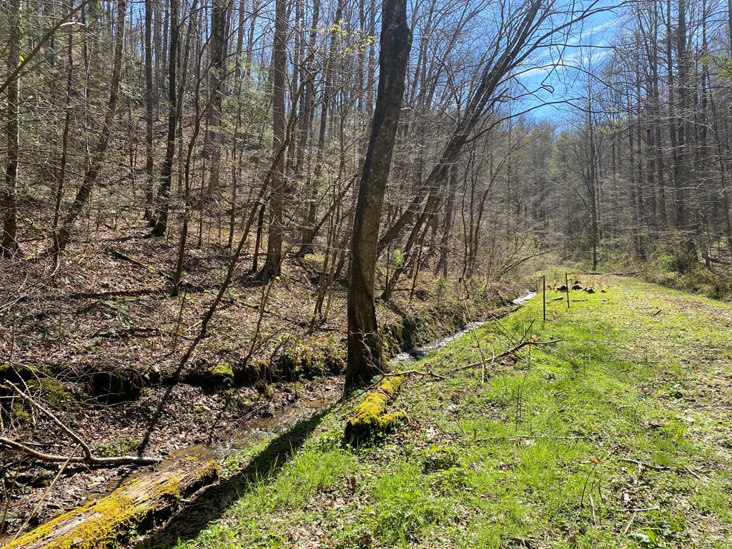 0 Valley Springs Way Sevierville TN 37862