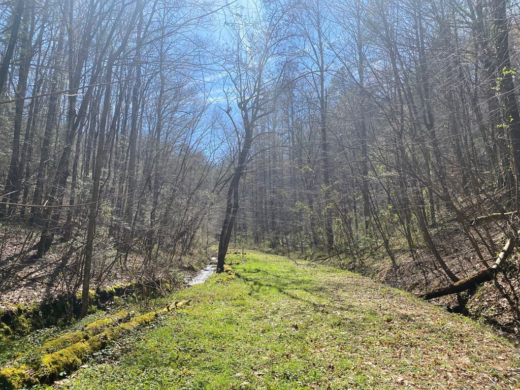 0 Valley Springs Way Sevierville TN 37862