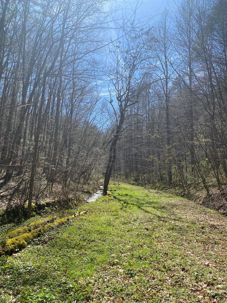 0 Valley Springs Way Sevierville TN 37862