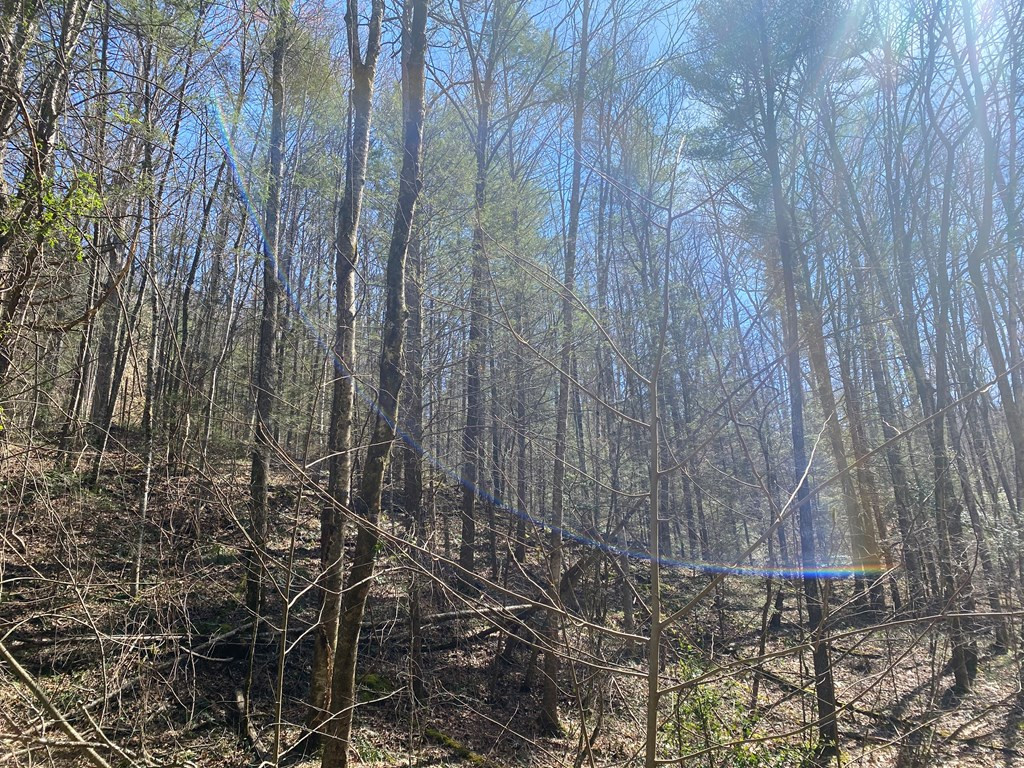0 Valley Springs Way Sevierville TN 37862