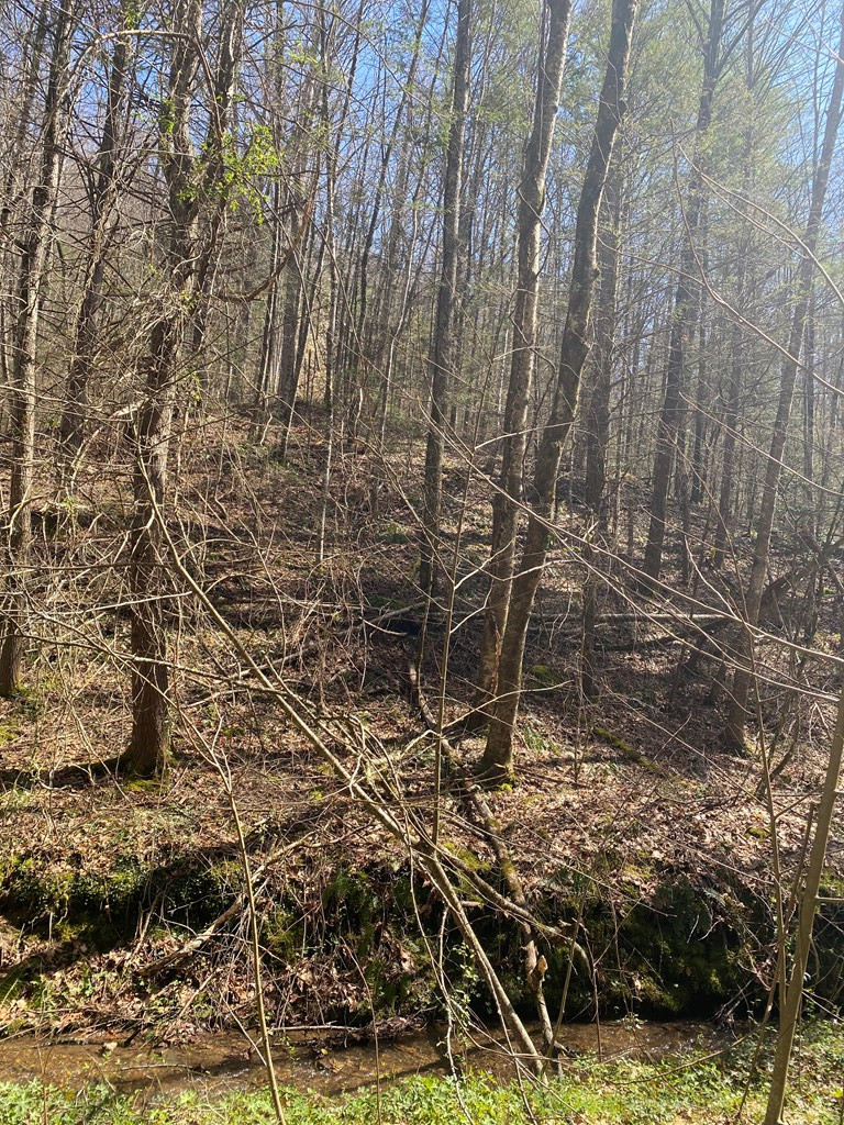 0 Valley Springs Way Sevierville TN 37862