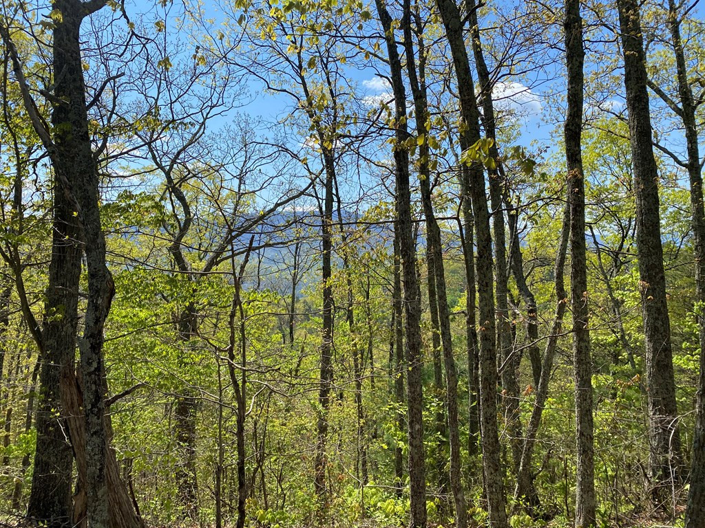 0 Valley Springs Way Sevierville TN 37862