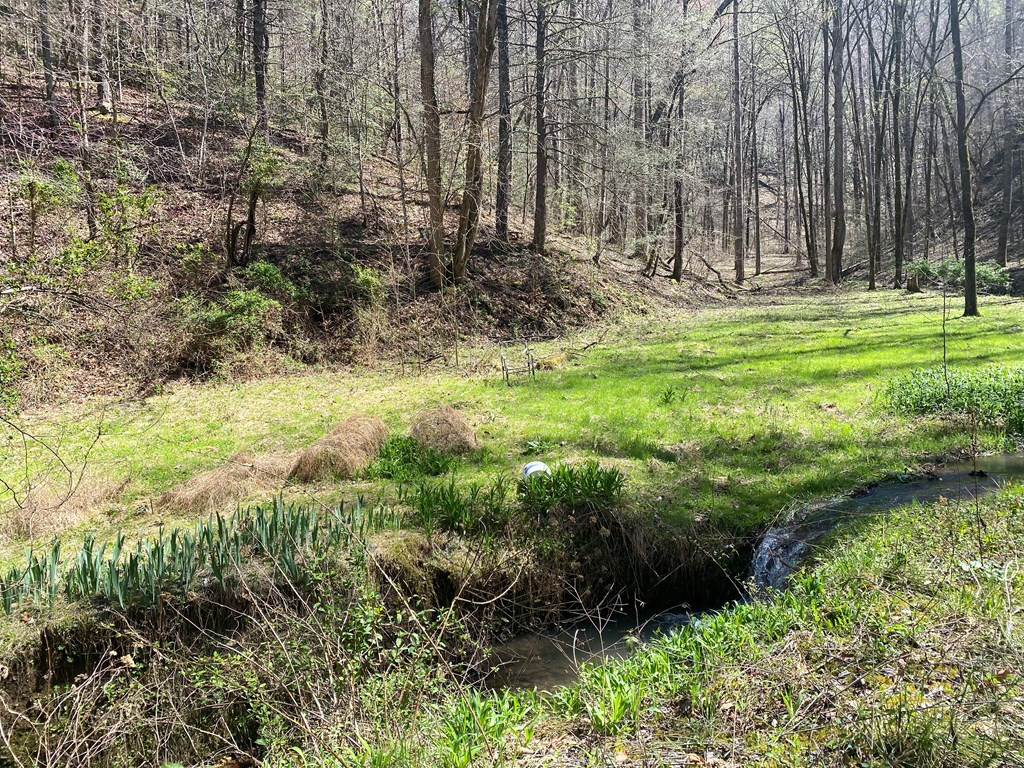 0 Valley Springs Way Sevierville TN 37862