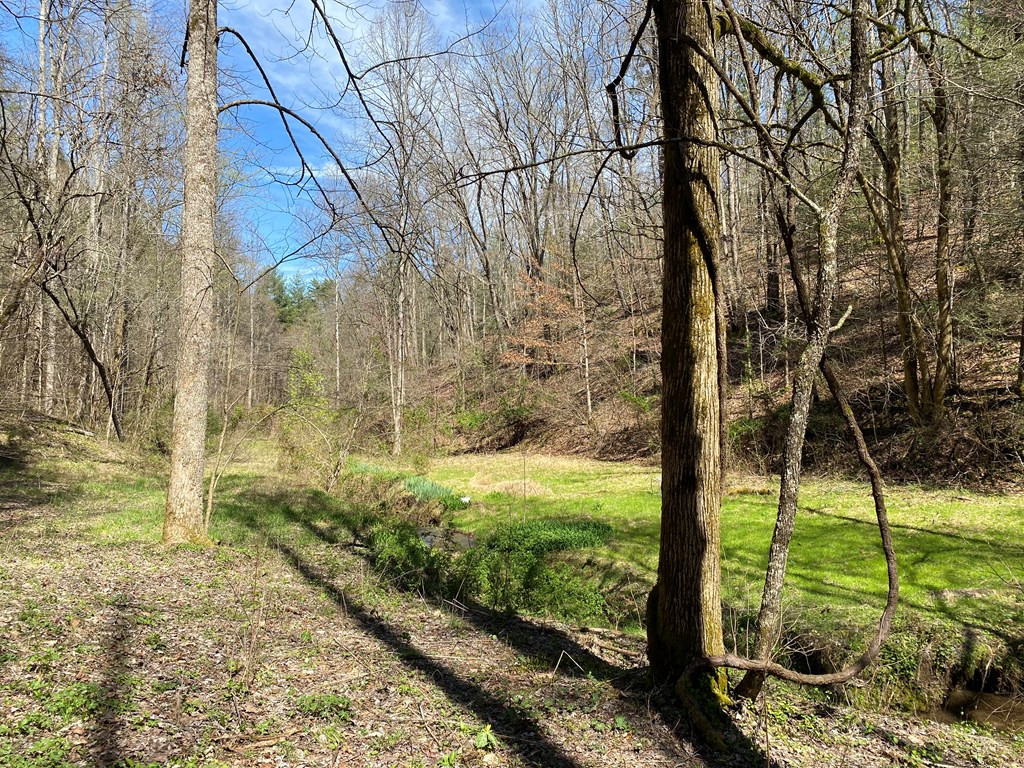 0 Valley Springs Way Sevierville TN 37862
