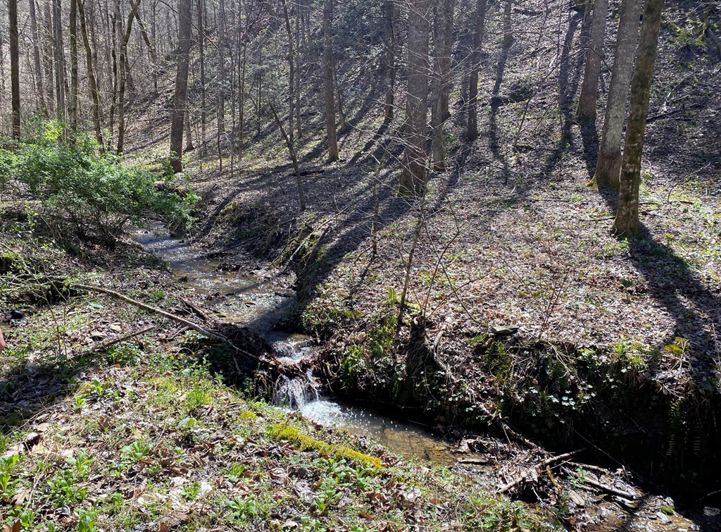 0 Valley Springs Way Sevierville TN 37862