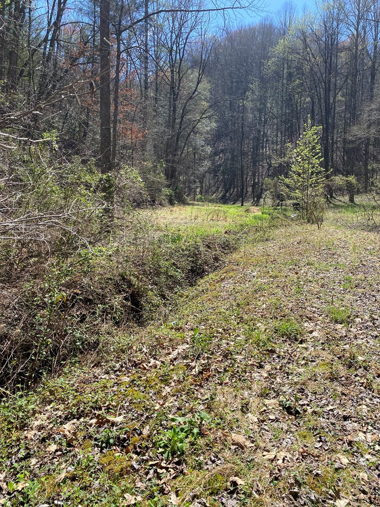 0 Valley Springs Way Sevierville TN 37862