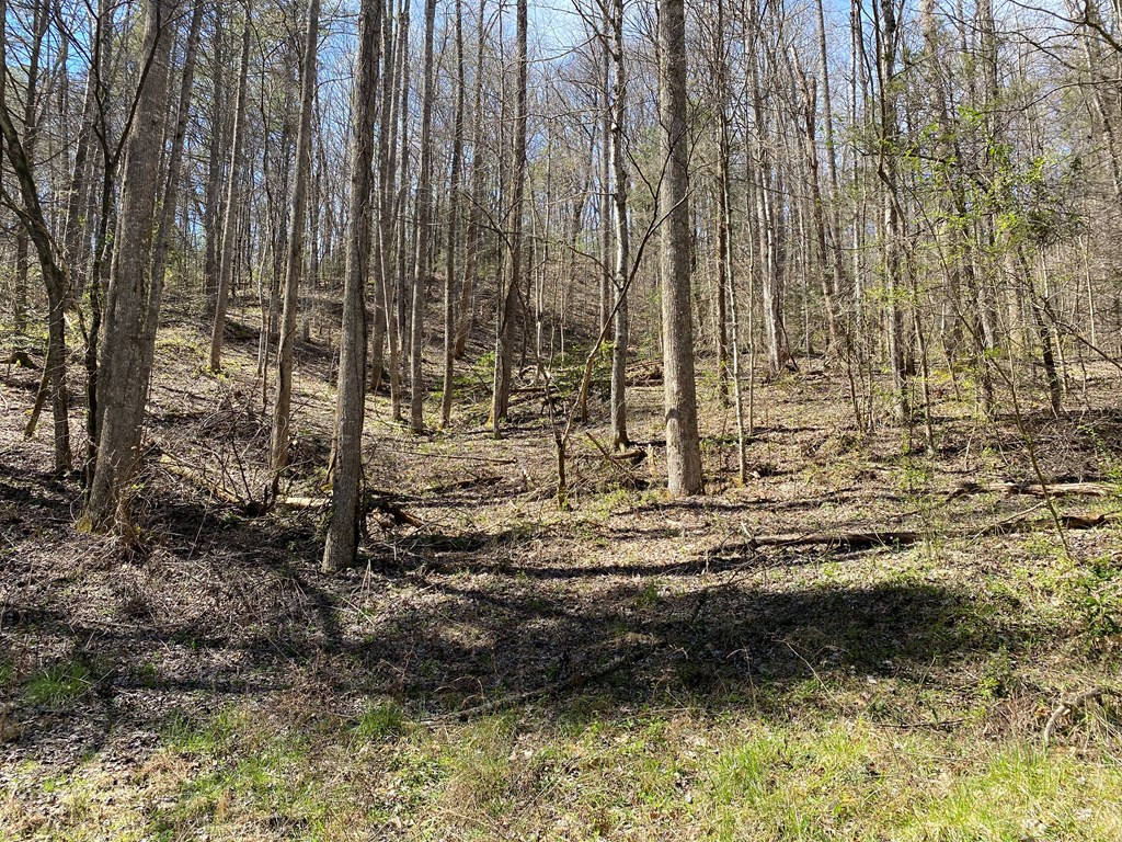 0 Valley Springs Way Sevierville TN 37862