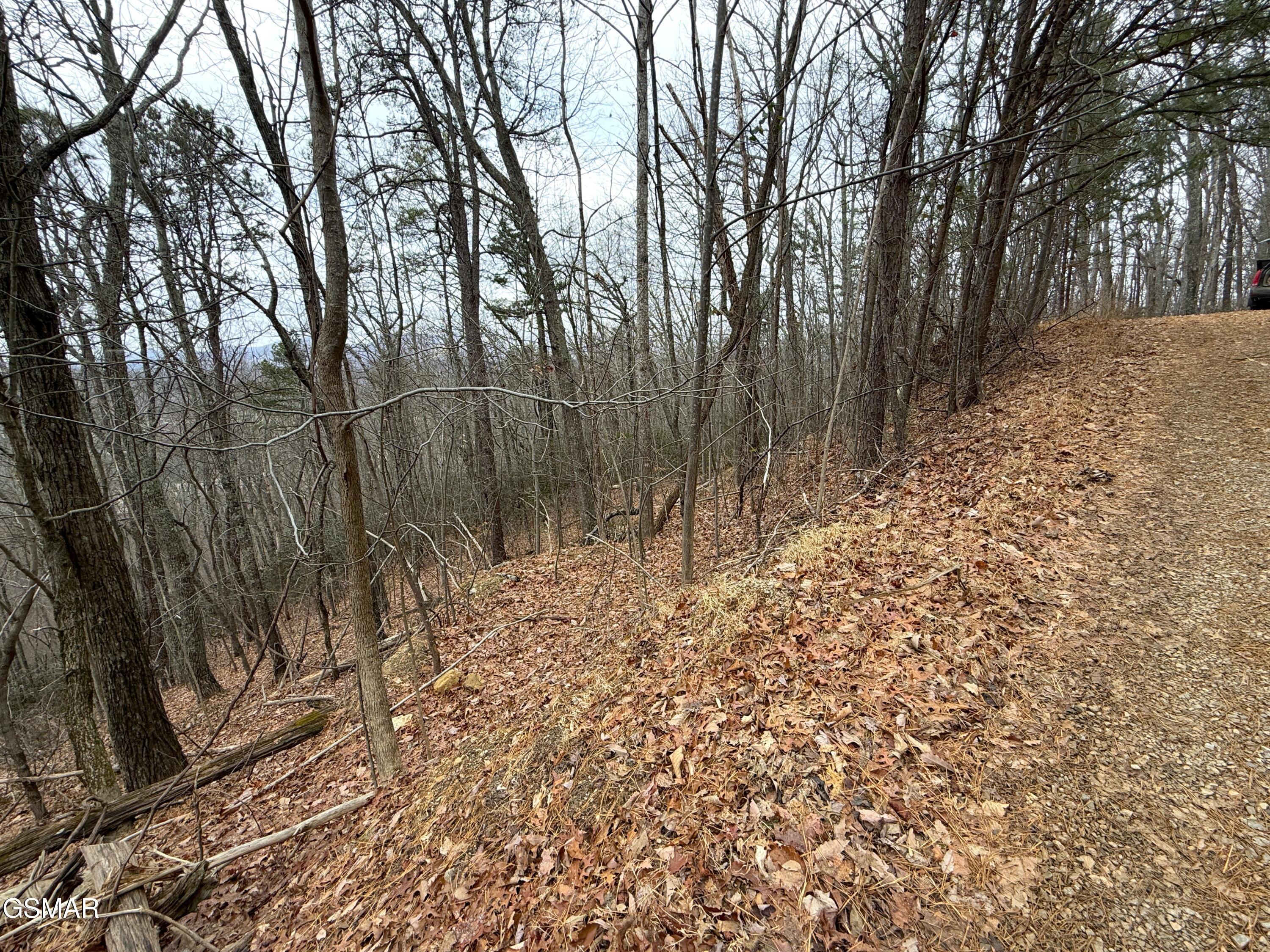 1.01 Ac Green Forest Road Cosby TN 37722