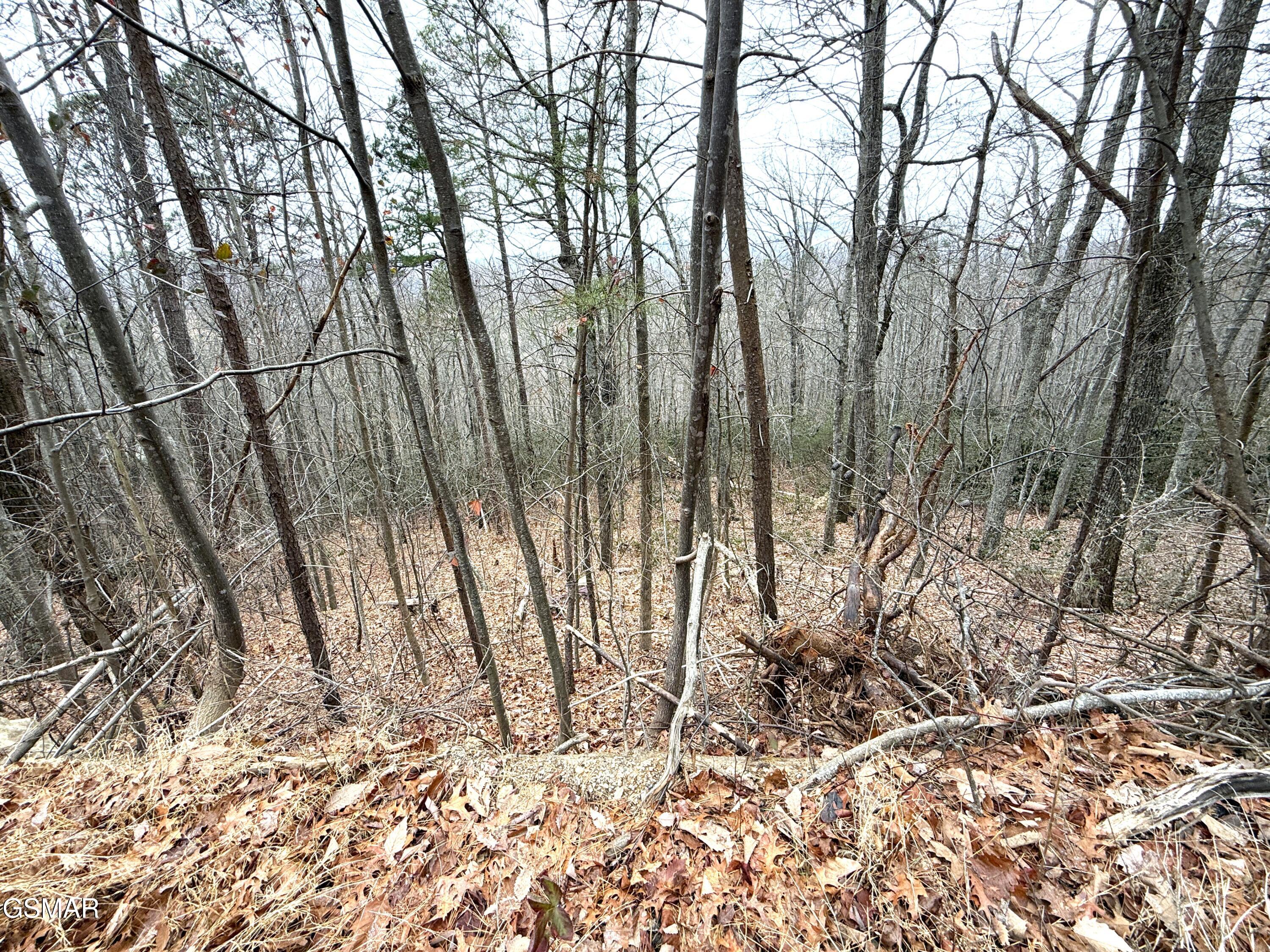 1.01 Ac Green Forest Road Cosby TN 37722