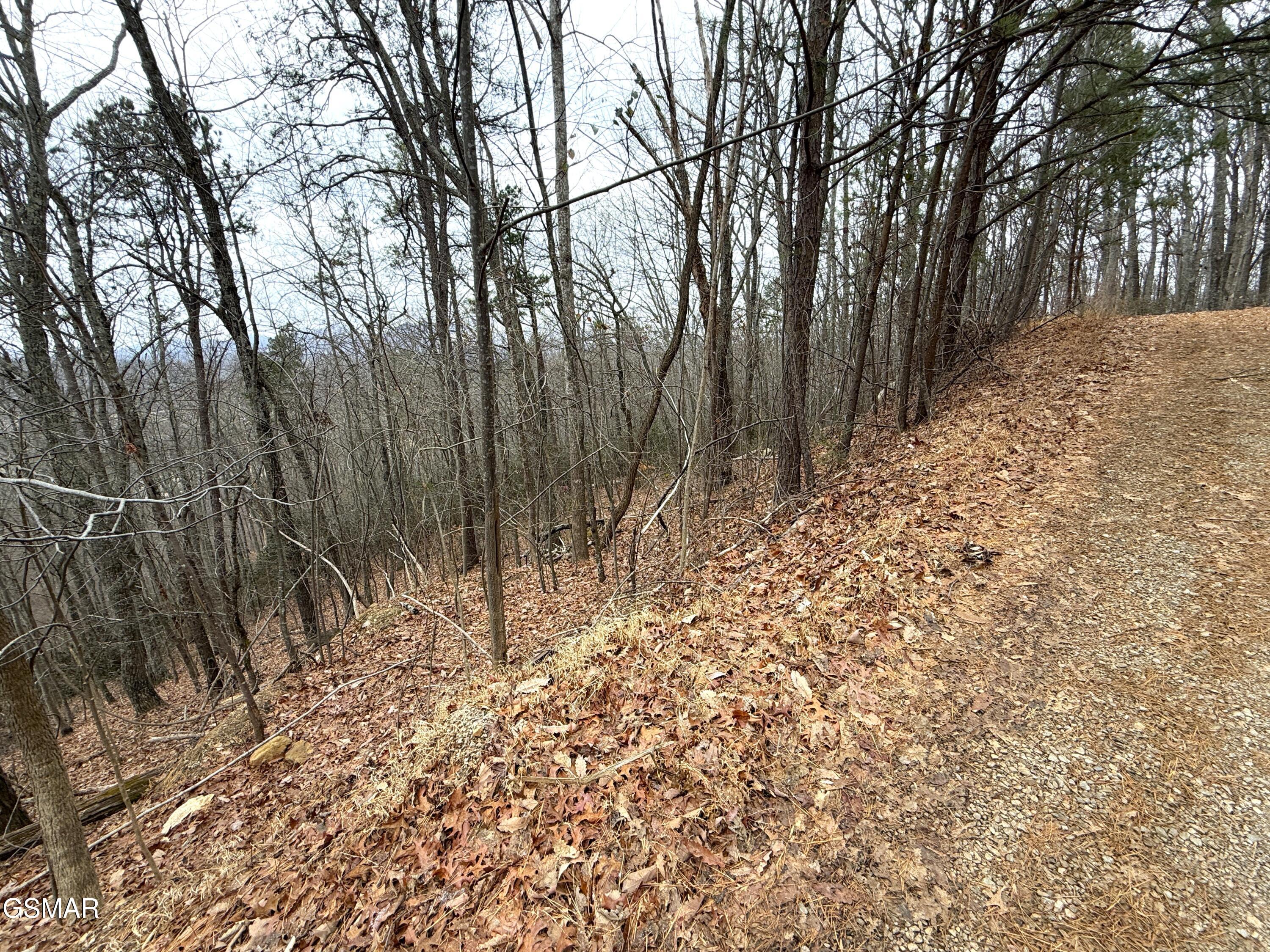 1.01 Ac Green Forest Road Cosby TN 37722