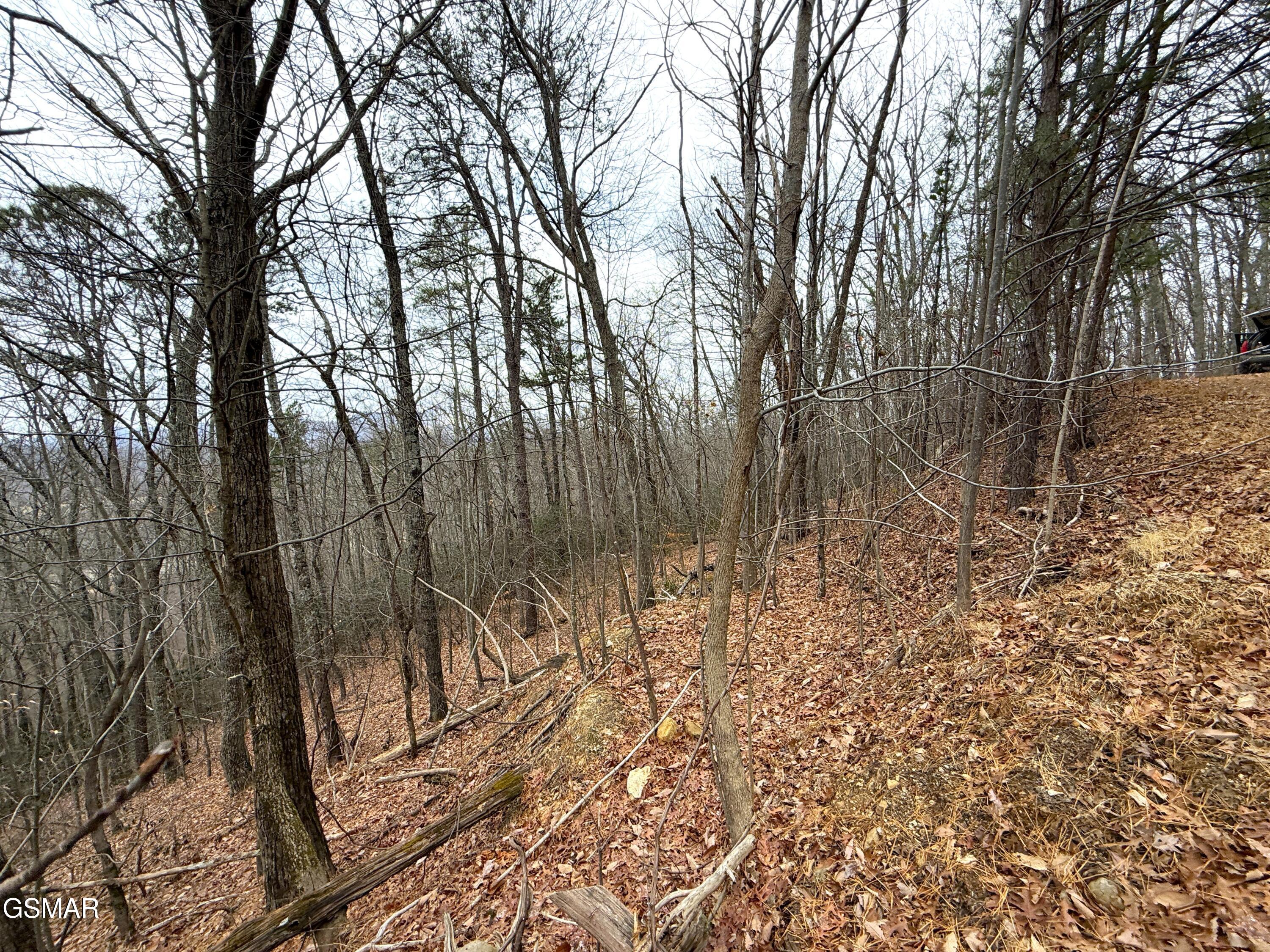 1.01 Ac Green Forest Road Cosby TN 37722