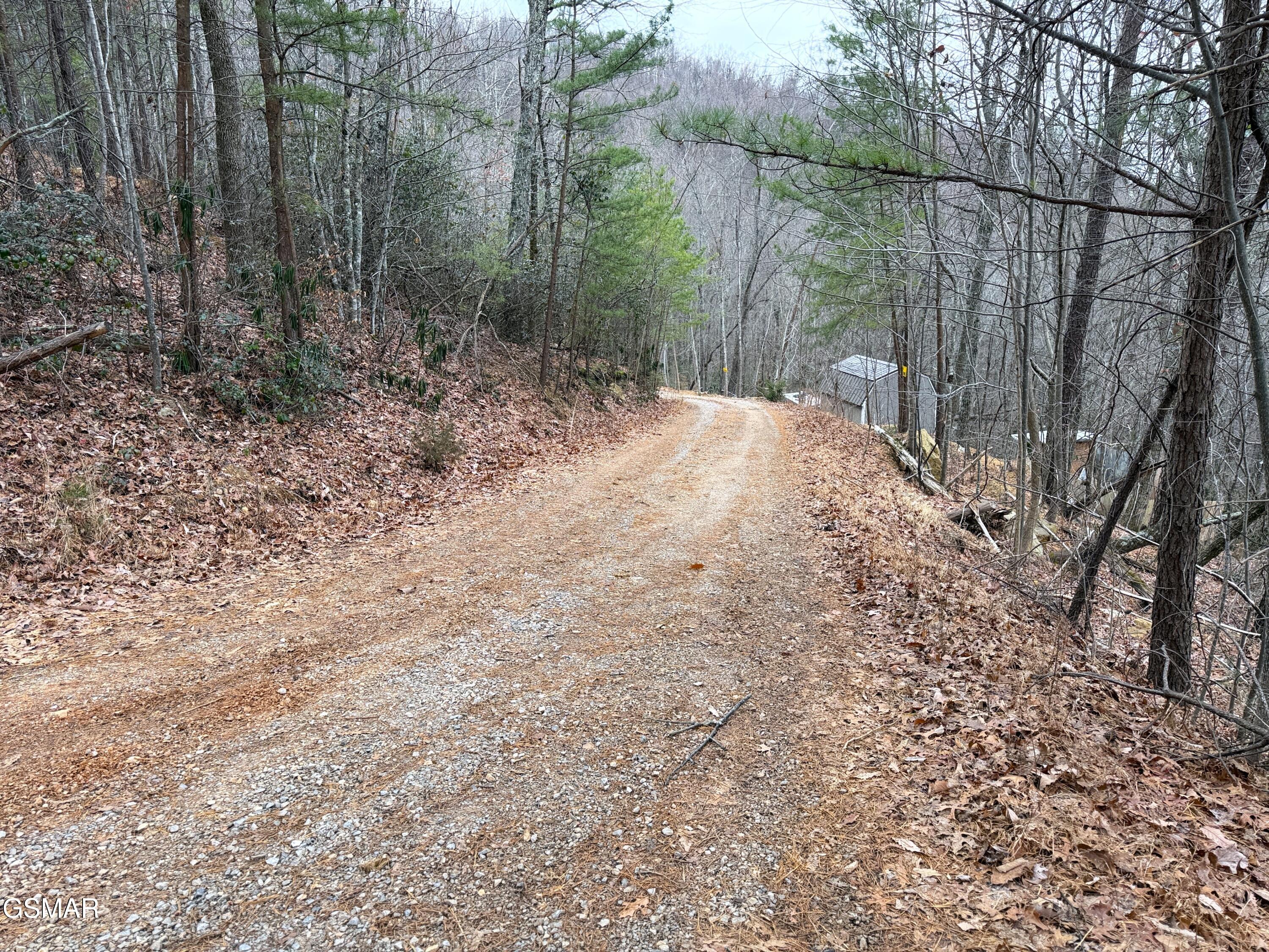 1.01 Ac Green Forest Road Cosby TN 37722