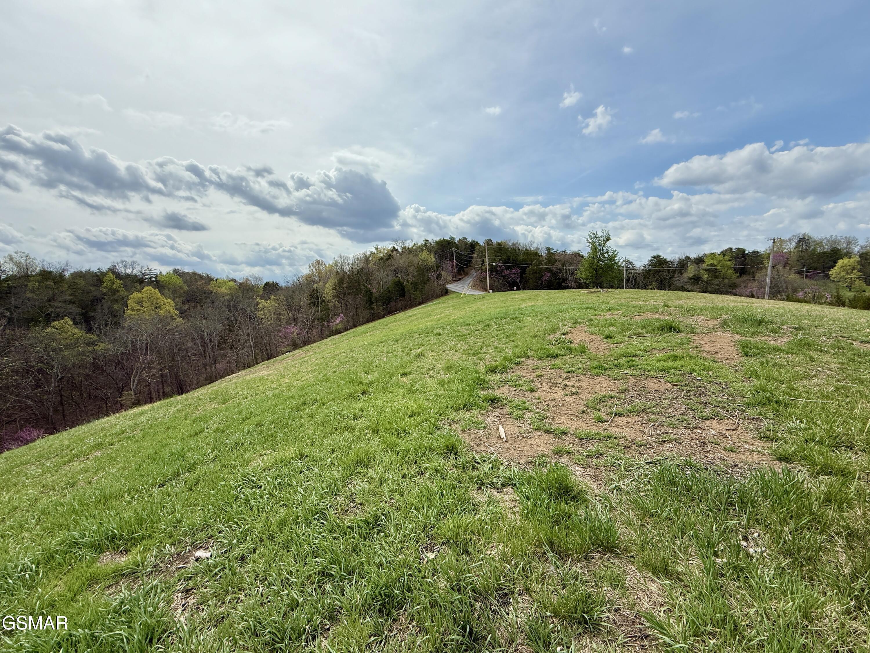 Lots 1&2 Ferry Hill Road Dandridge TN 37725