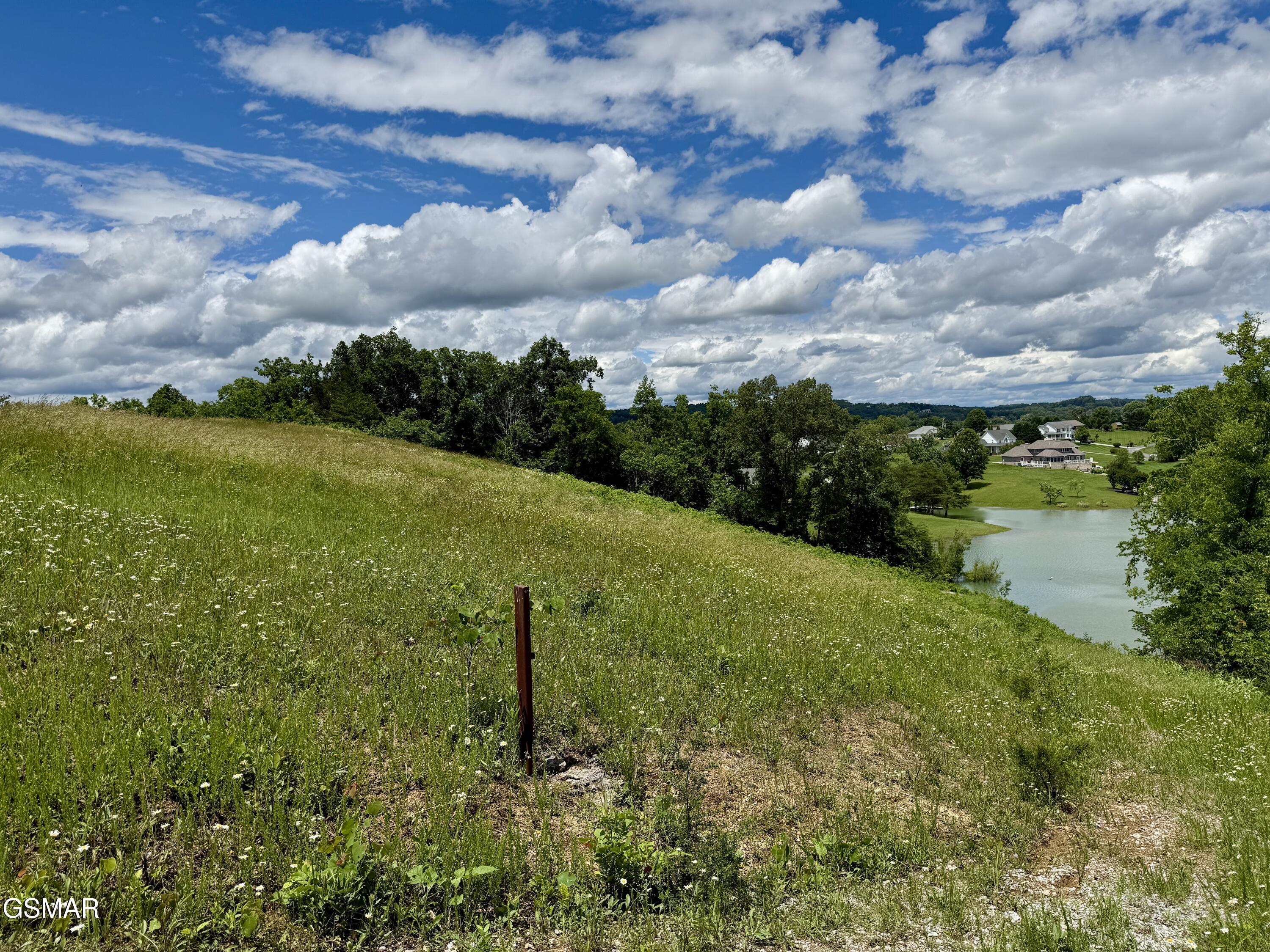 Lots 1&2 Ferry Hill Road Dandridge TN 37725