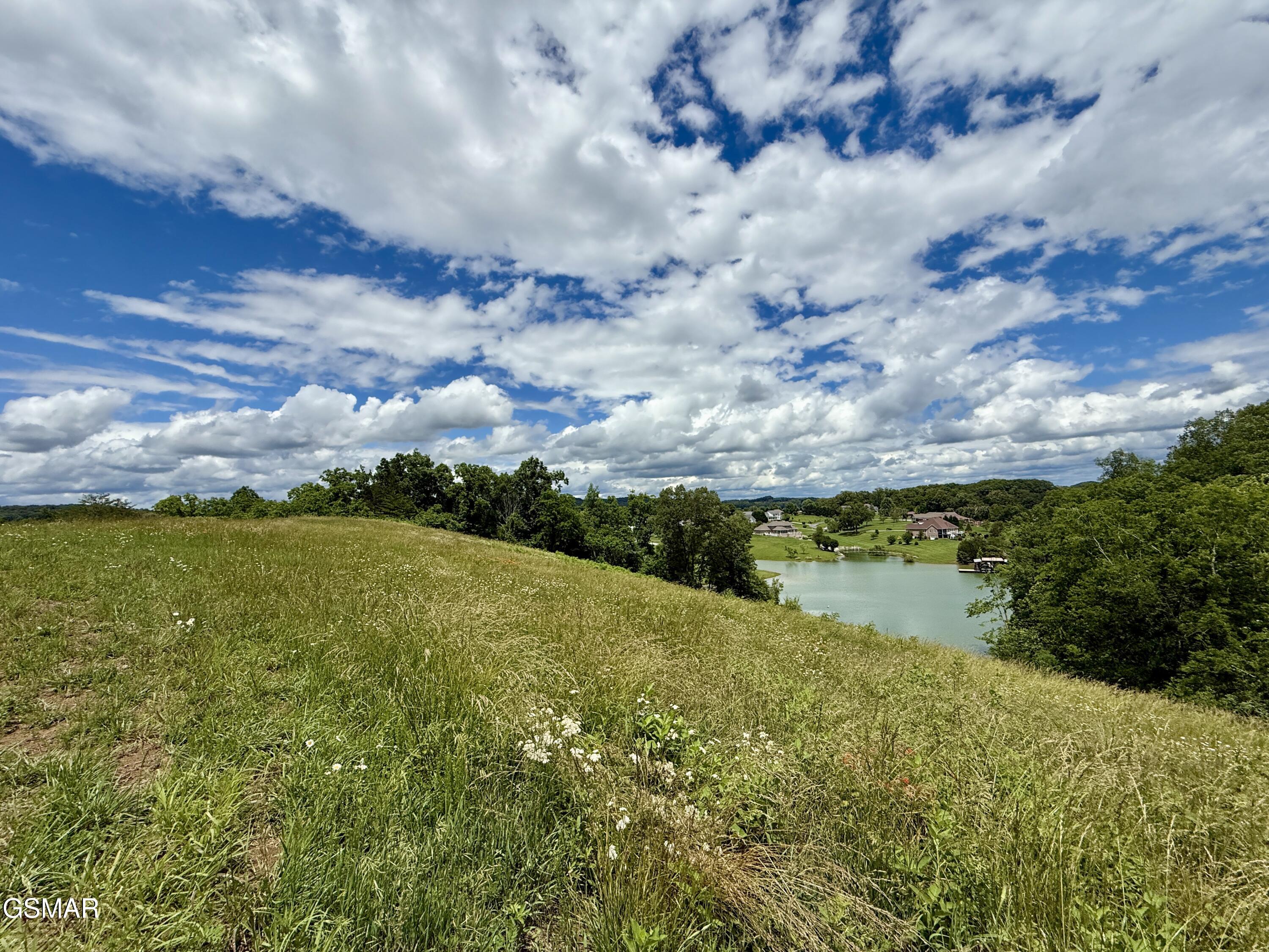 Lots 1&2 Ferry Hill Road Dandridge TN 37725