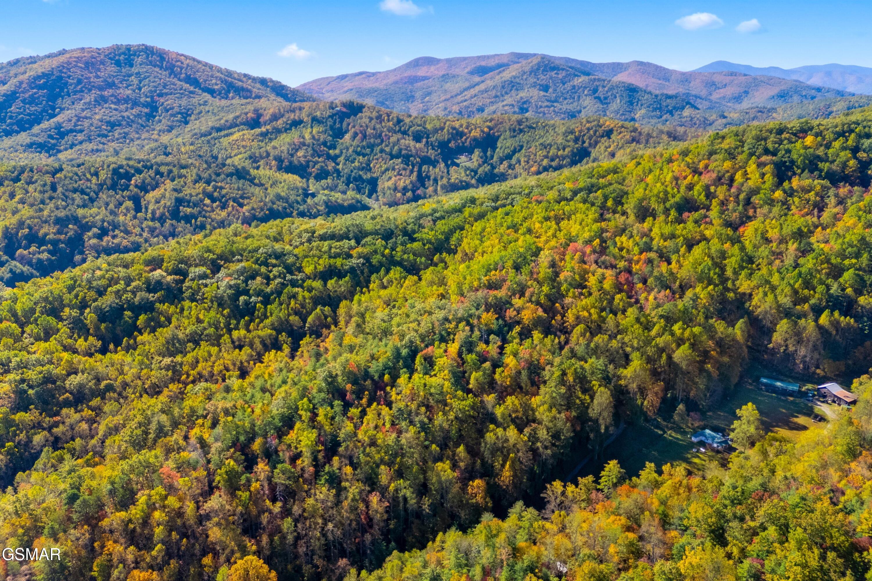 5.37 Acres Reece Hollow Del Rio TN 37727