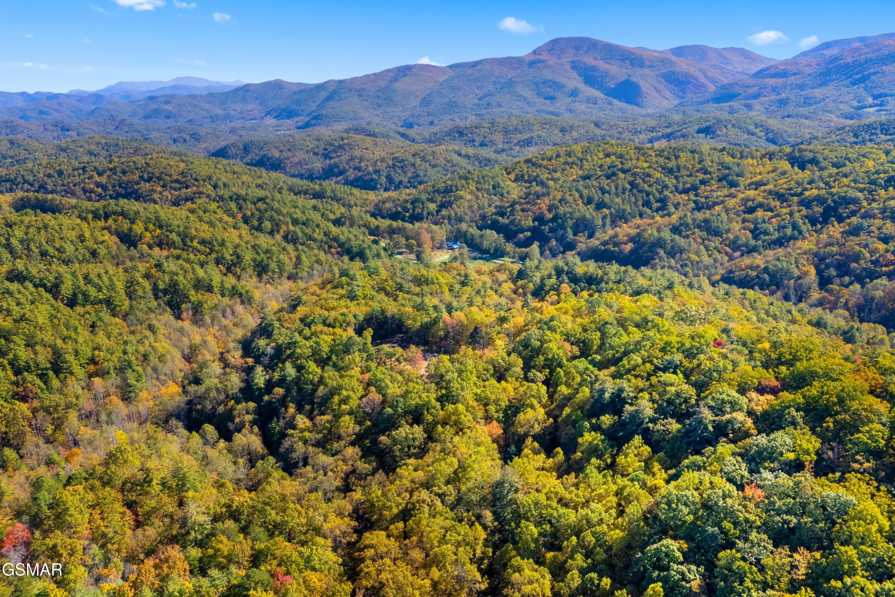 5.37 Acres Reece Hollow Del Rio TN 37727