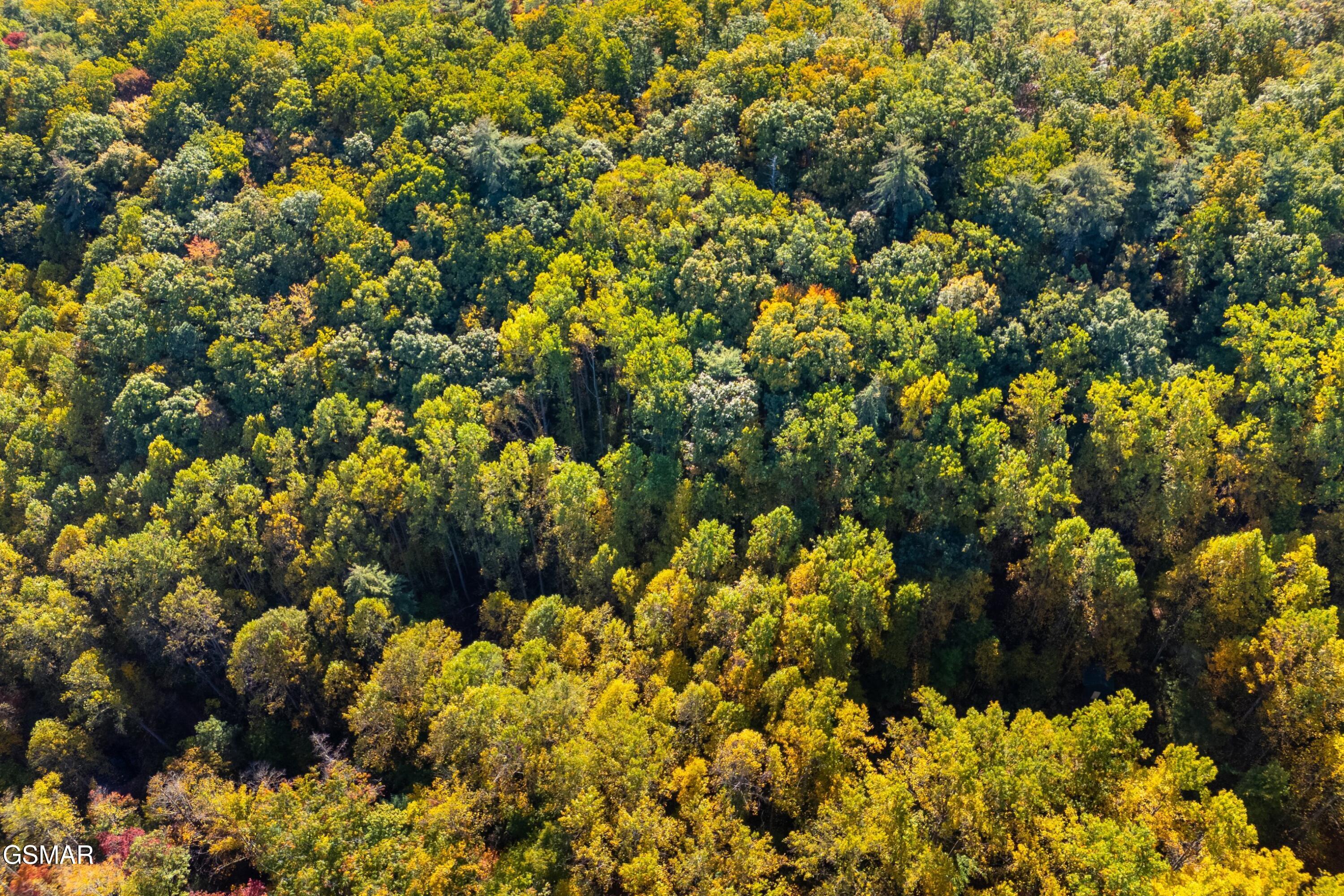 5.37 Acres Reece Hollow Del Rio TN 37727