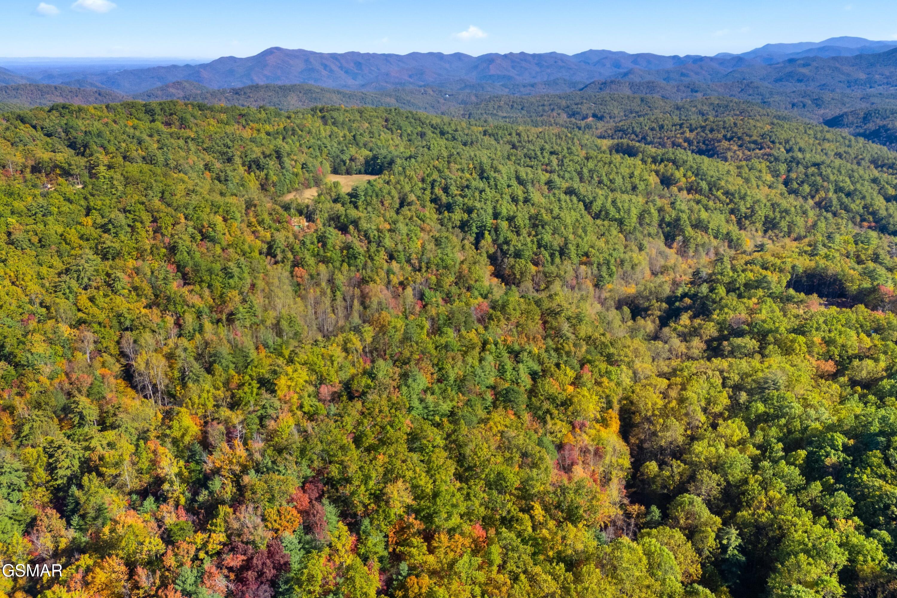 5.37 Acres Reece Hollow Del Rio TN 37727