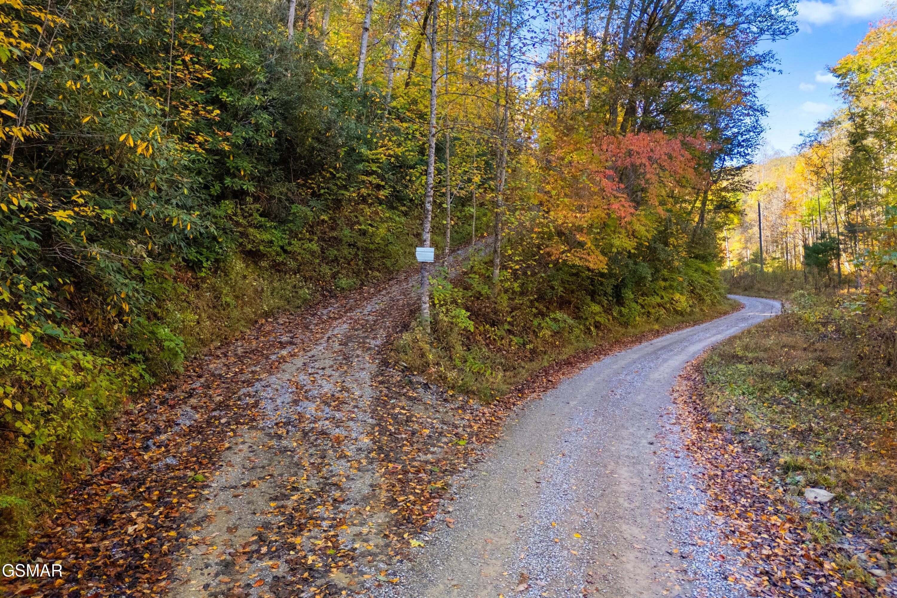 5.37 Acres Reece Hollow Del Rio TN 37727