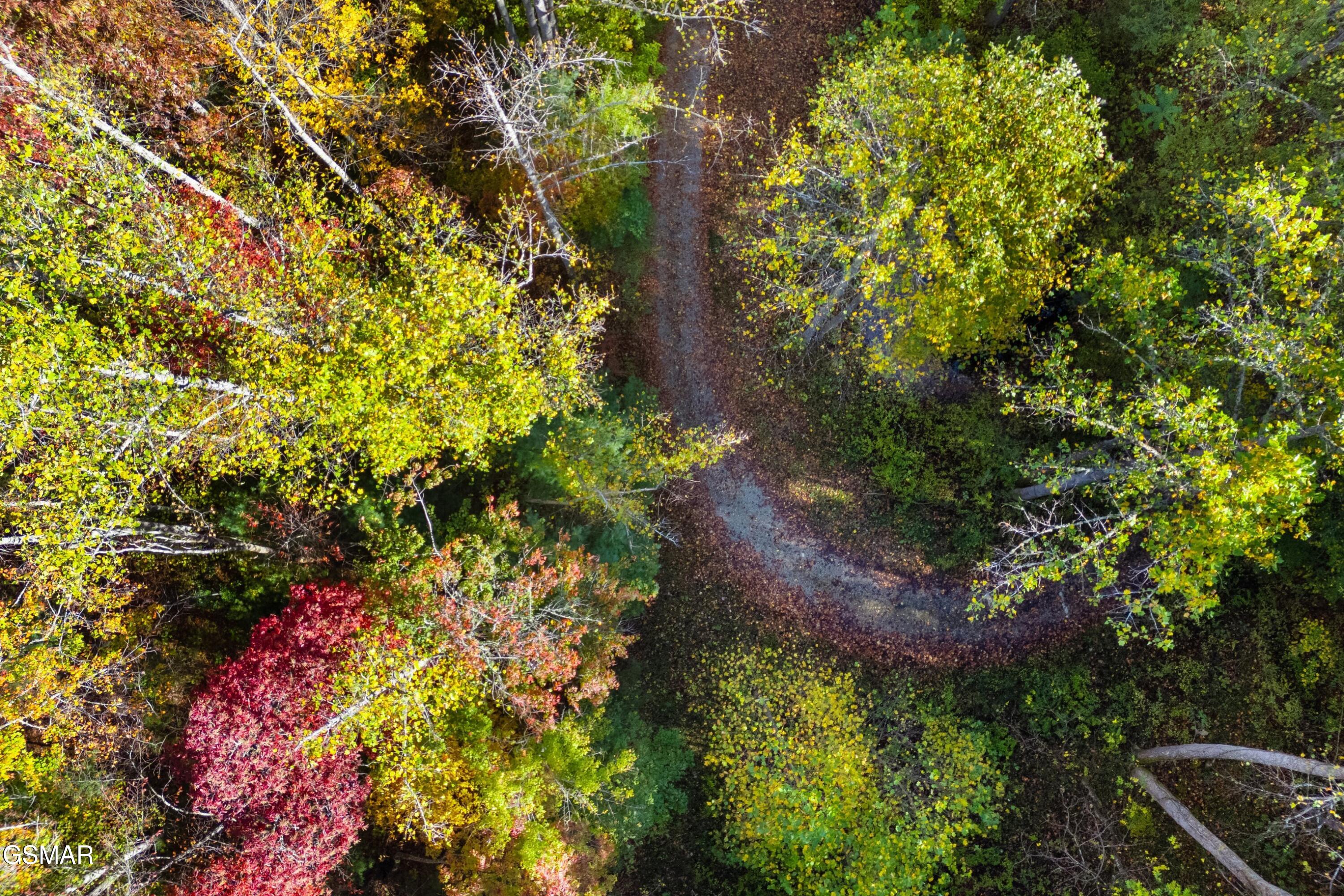 5.37 Acres Reece Hollow Del Rio TN 37727