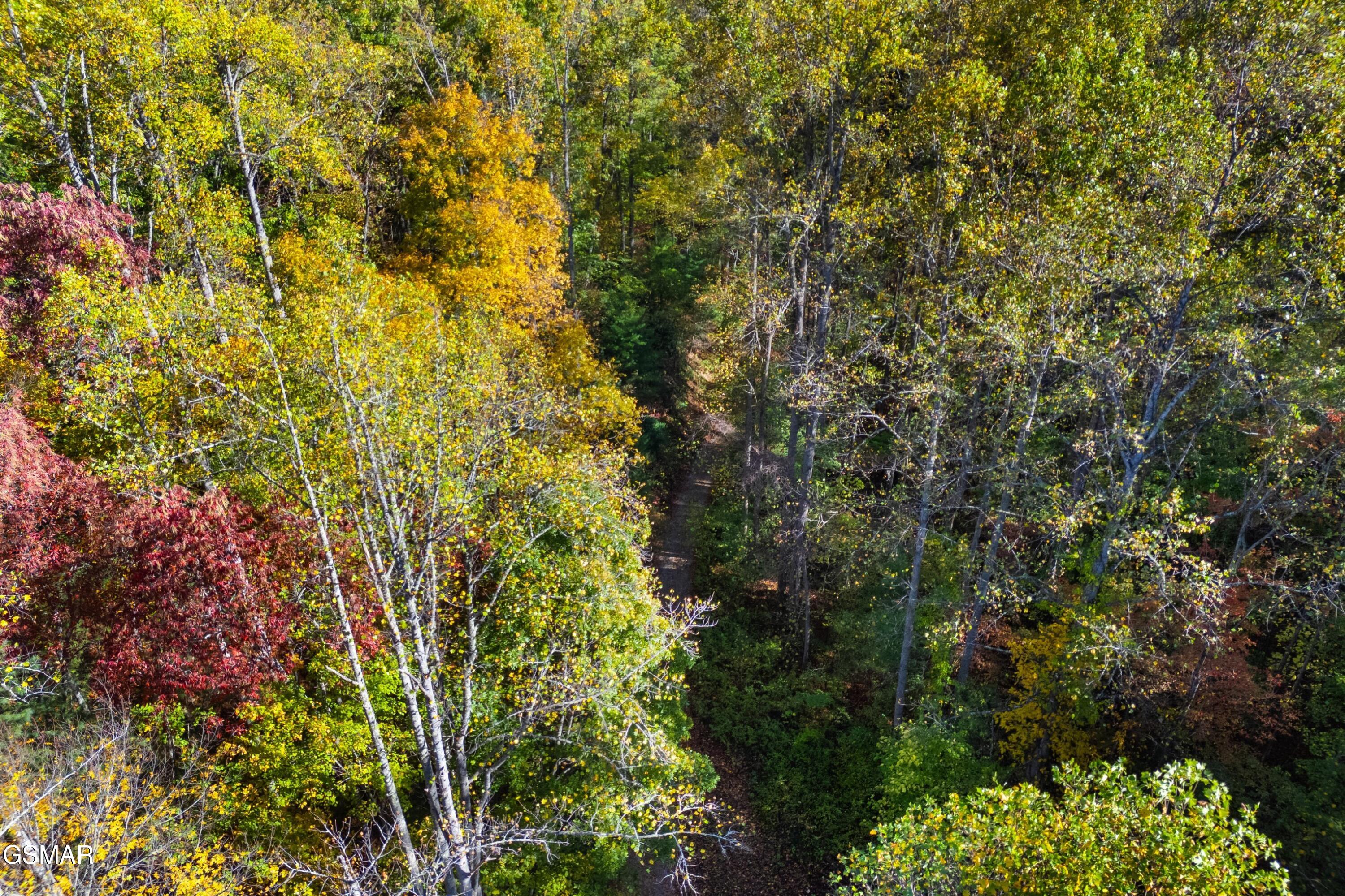 5.37 Acres Reece Hollow Del Rio TN 37727
