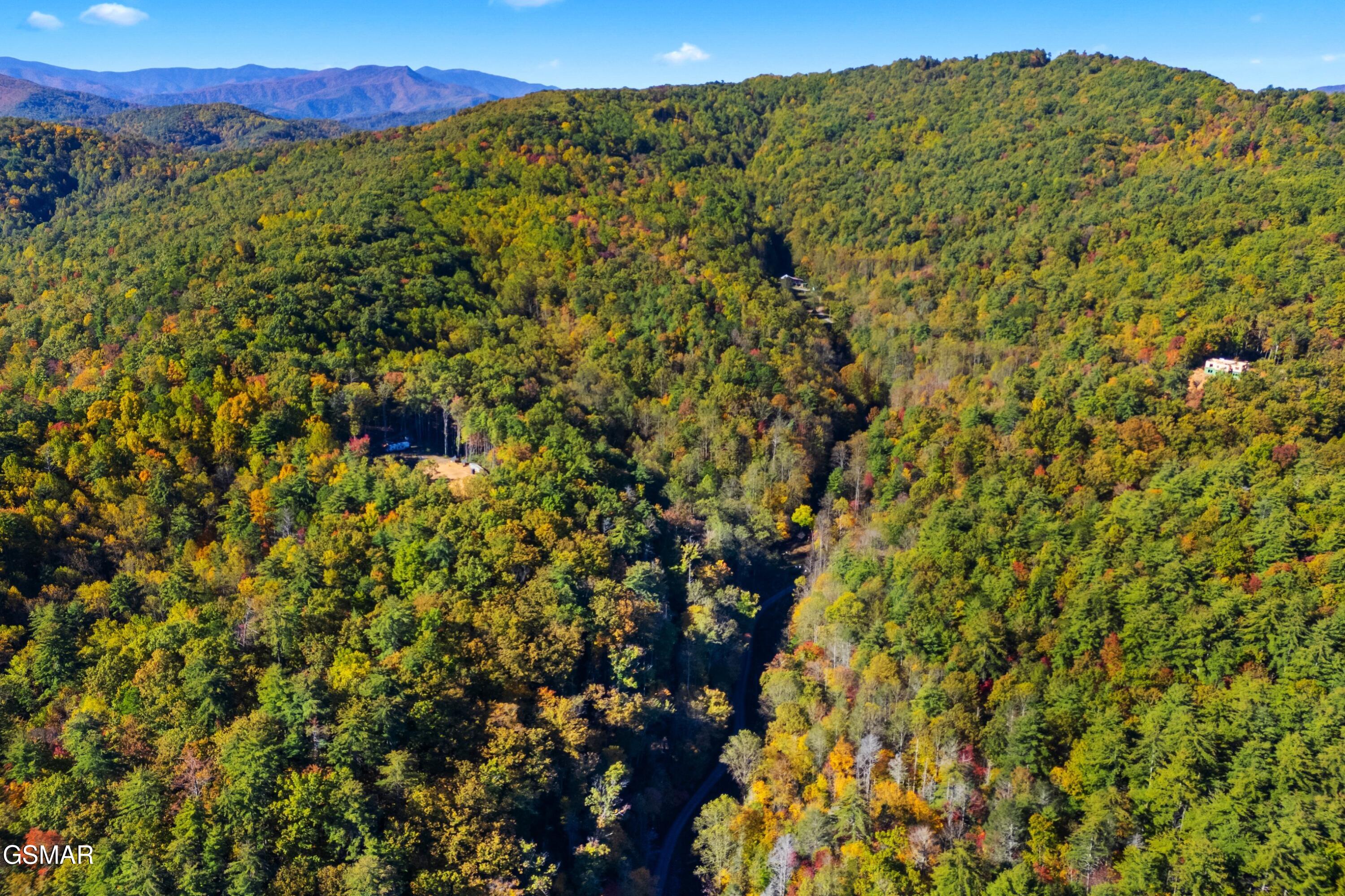 5.37 Acres Reece Hollow Del Rio TN 37727