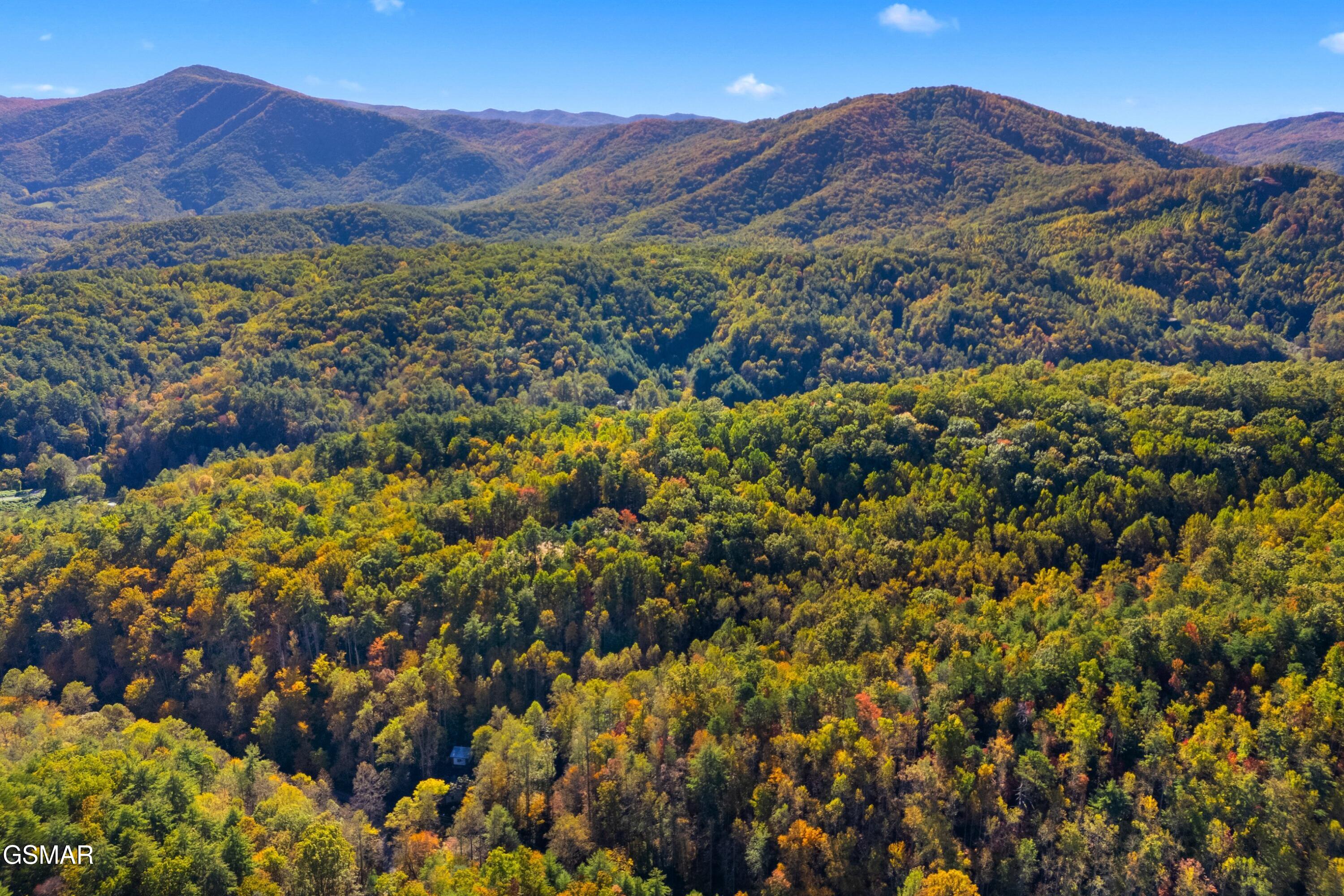 5.37 Acres Reece Hollow Del Rio TN 37727