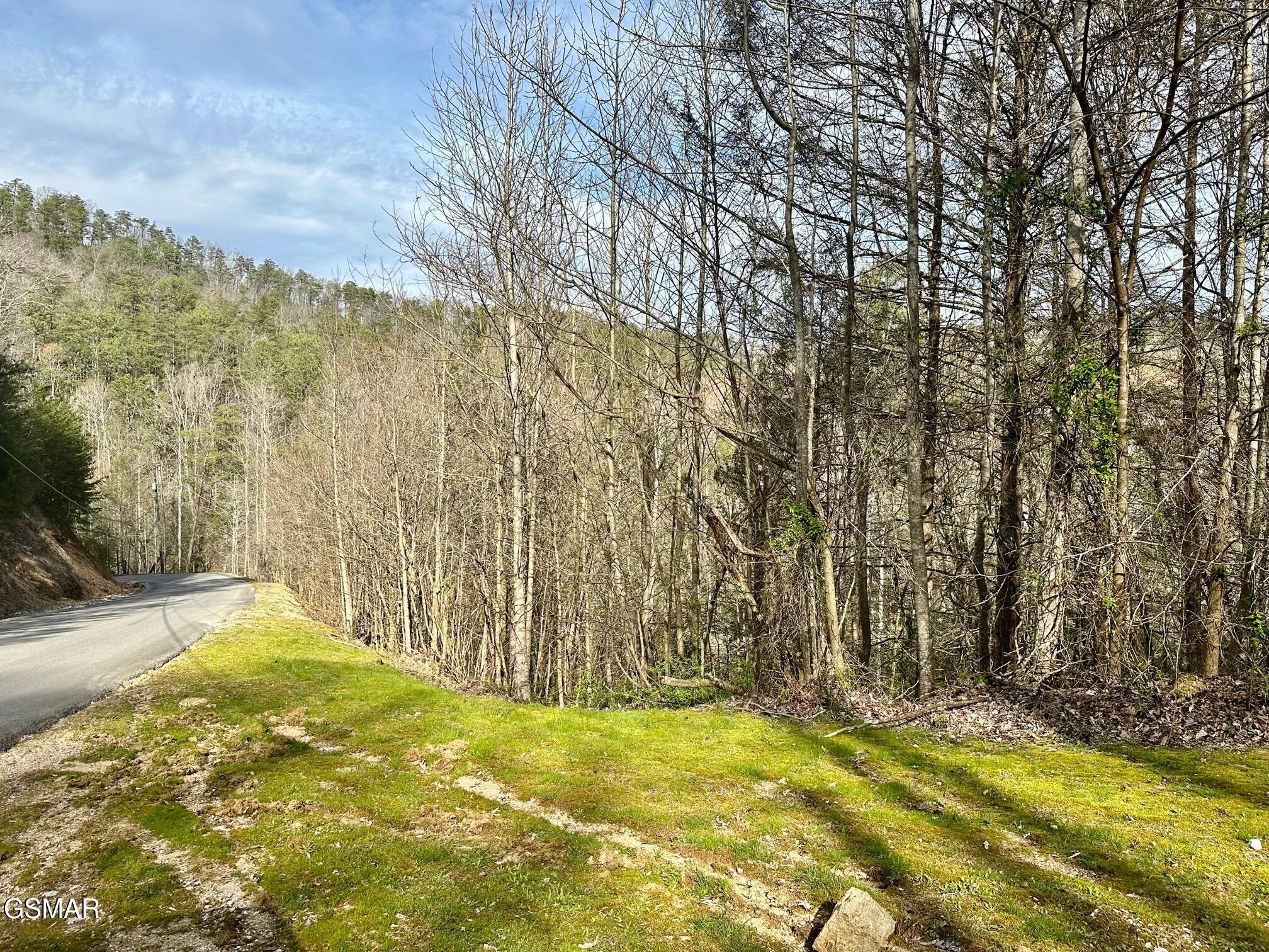 1423 Mountain Dreams Way Sevierville TN 37862