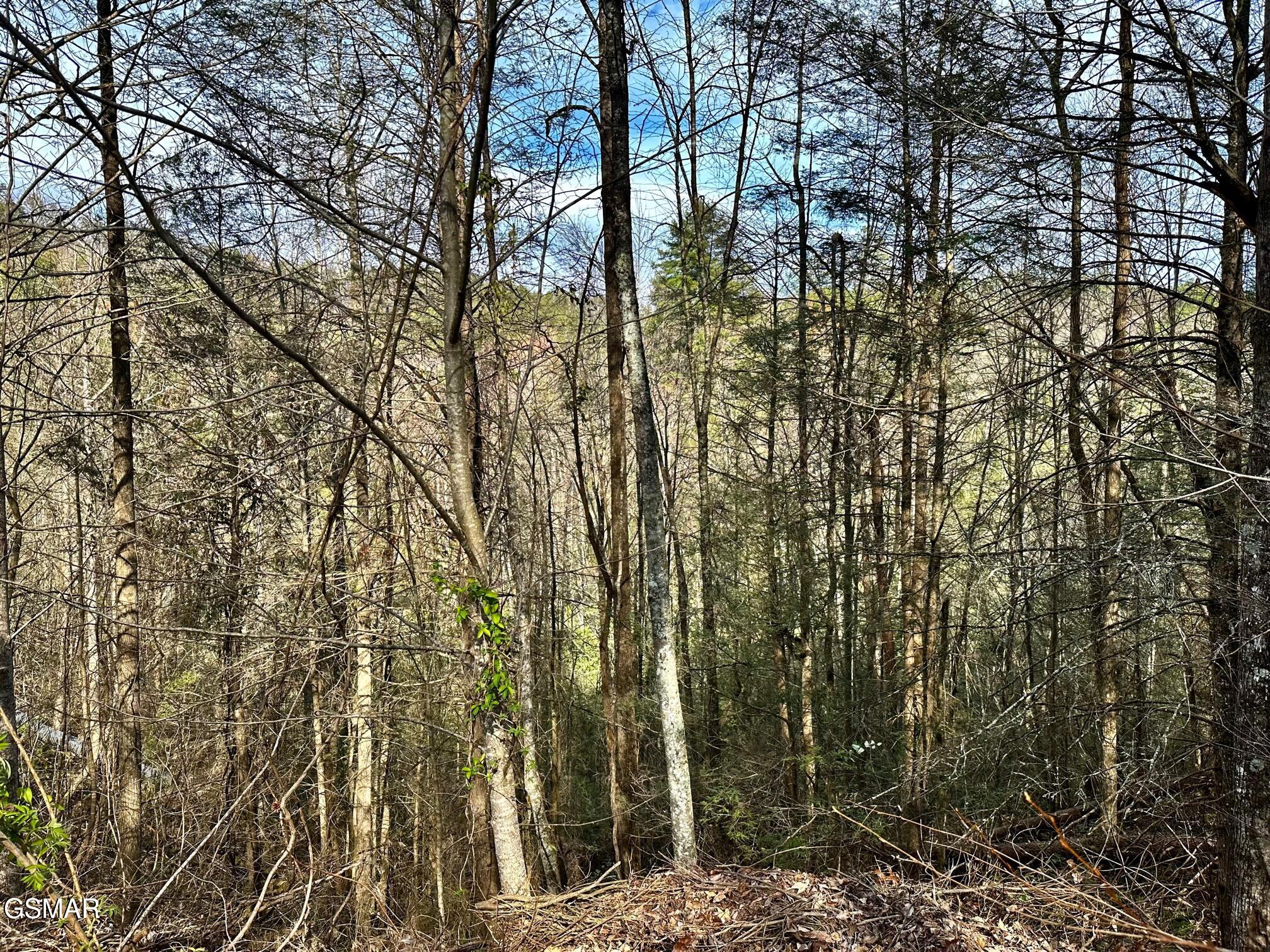 1423 Mountain Dreams Way Sevierville TN 37862